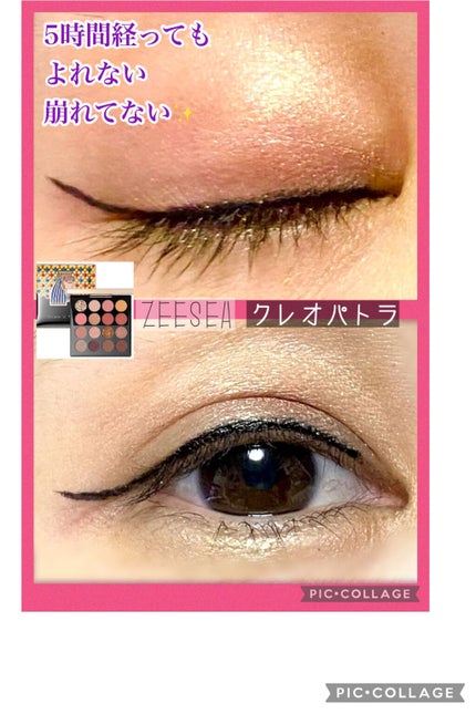 大英博物館 エジプトシリーズ アイシャドウパレット/ZEESEA/アイシャドウパレットを使ったクチコミ(1枚目)