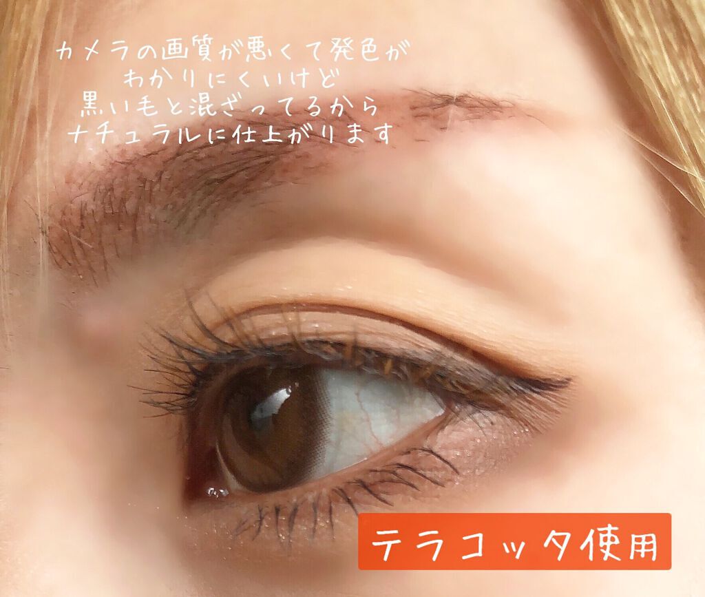 アイラッシュフィクサーEX 552/D-UP/つけまつげを使ったクチコミ(4枚目)