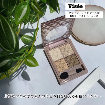 グロッシーリッチ アイズ N/Visée/アイシャドウパレットを使ったクチコミ(2枚目)
