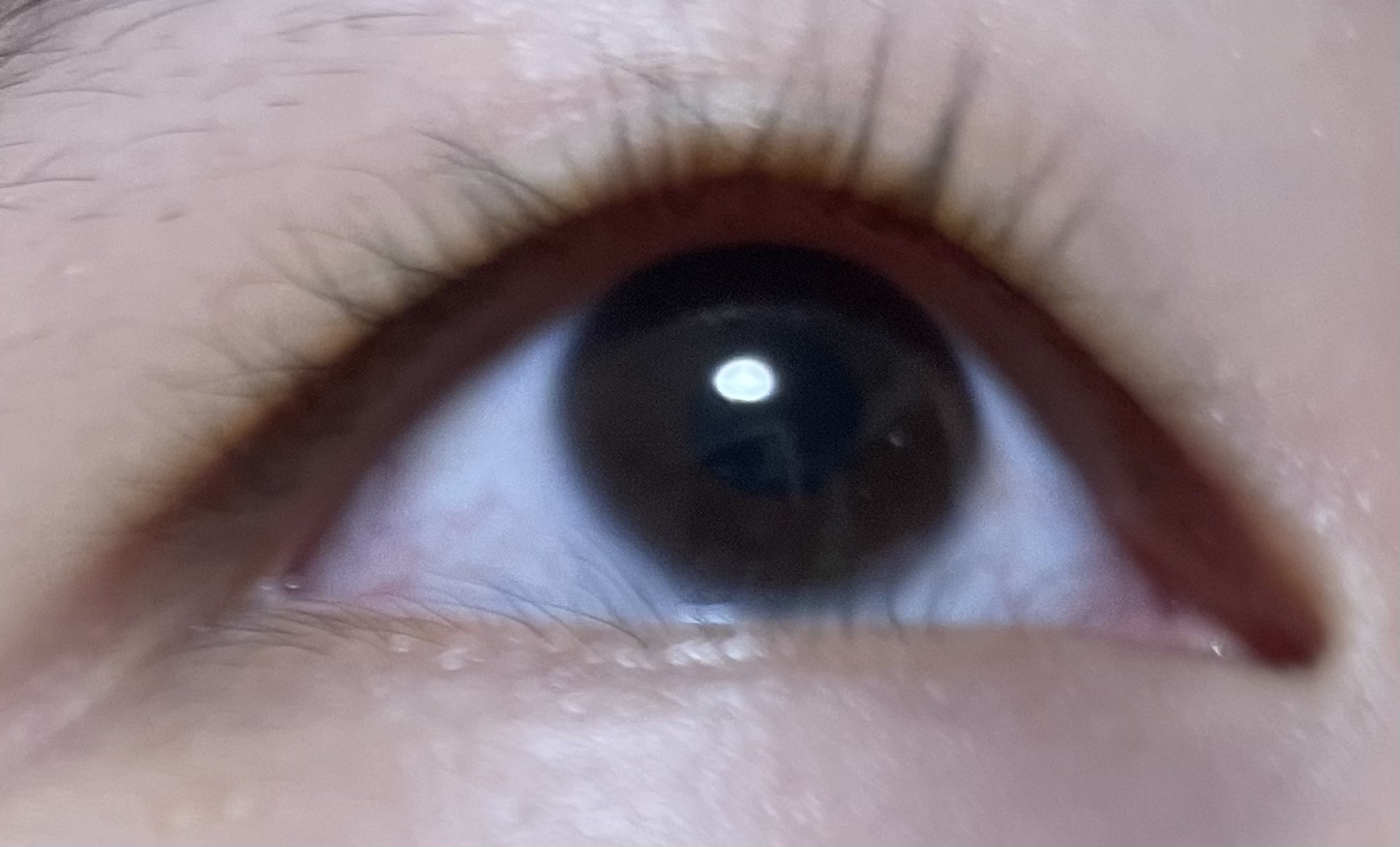 ラッシュジェリードロップ　ＥＸ/MAJOLICA MAJORCA/まつげ美容液を使ったクチコミ（2枚目）