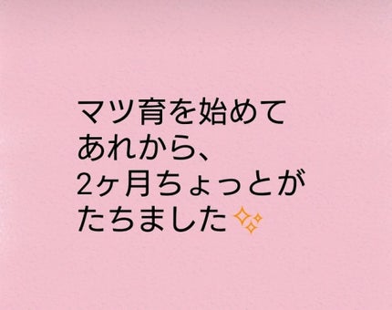 ラッシュジェリードロップ/MAJOLICA MAJORCA/まつげ美容液を使ったクチコミ(1枚目)