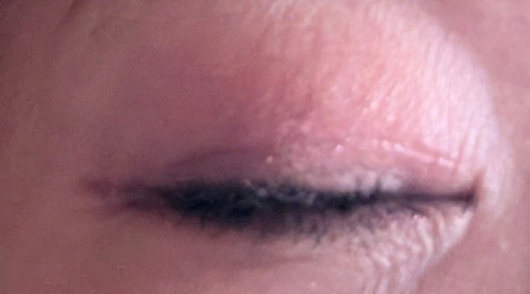 ジェル アイライナー/ちふれ/ジェルアイライナーを使ったクチコミ（3枚目）