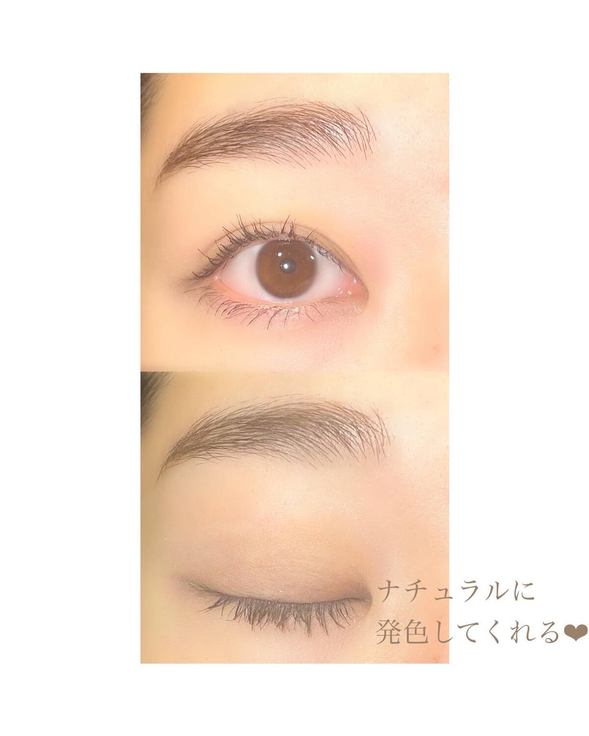 フーミー マルチアイブロウパウダー/WHOMEE/パウダーアイブロウを使ったクチコミ（2枚目）