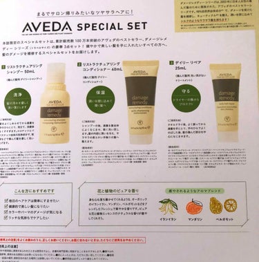 リストラクチュアリング シャンプー／コンディショナー/AVEDA/シャンプー・コンディショナーを使ったクチコミ（2枚目）