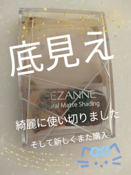 ナチュラルマットシェーディング/CEZANNE/シェーディングを使ったクチコミ(1枚目)