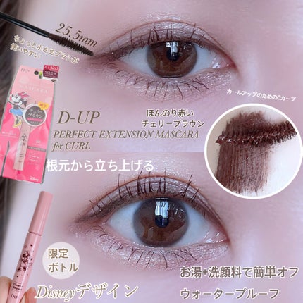 シルキーリキッドアイライナーWP/D-UP/リキッドアイライナーを使ったクチコミ(2枚目)