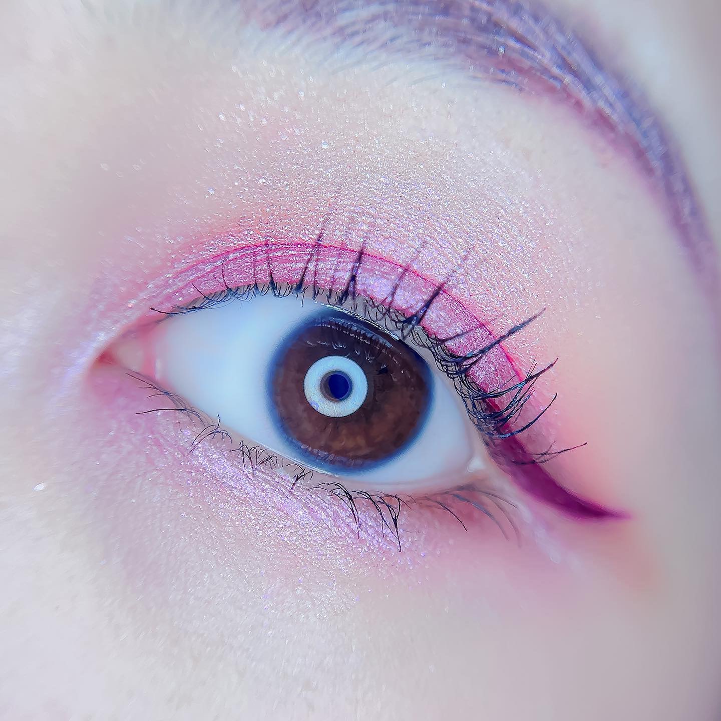 クリスマス イン ザ シティ メイクアップコレクション/Too Faced/メイクアップキットを使ったクチコミ（3枚目）