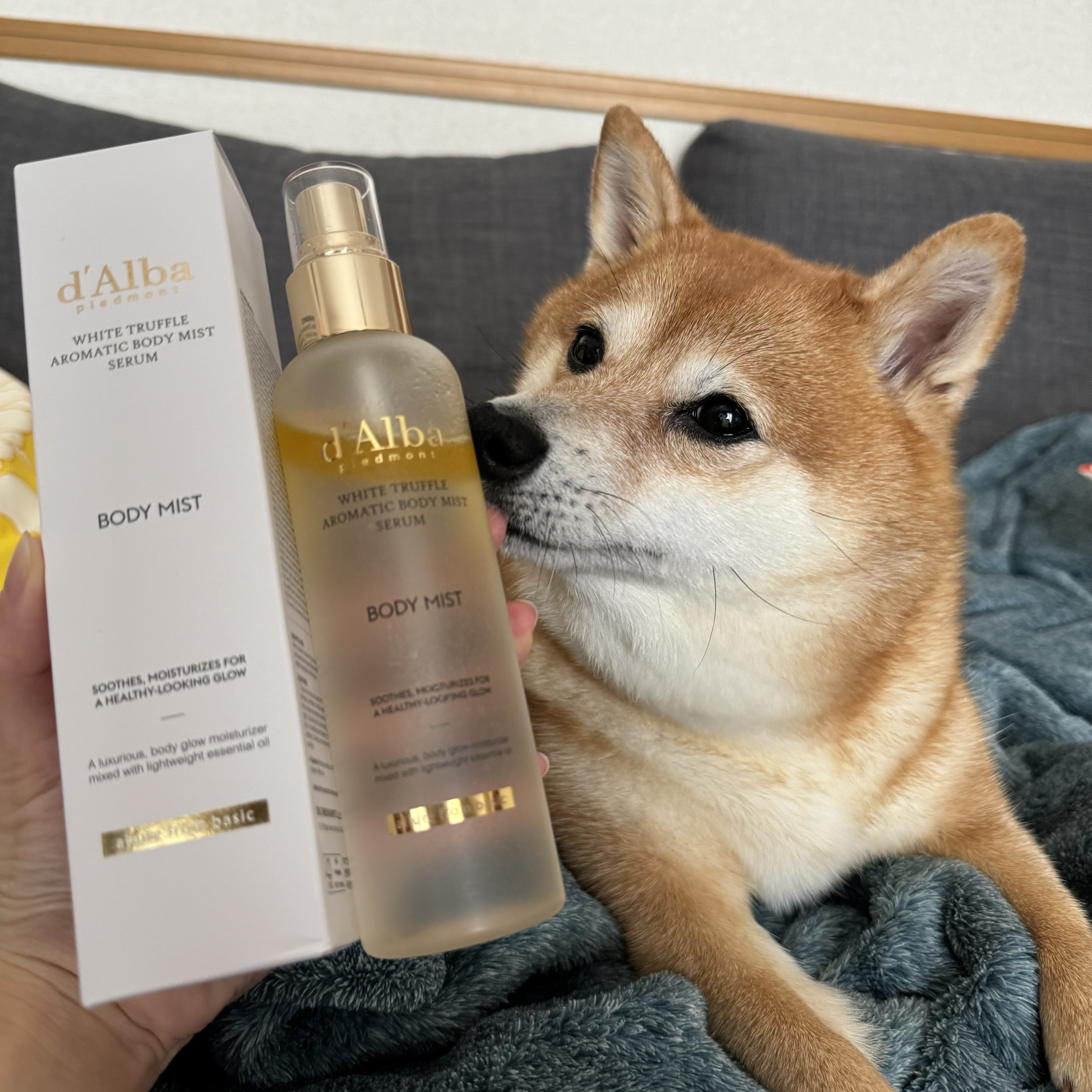 #PR 
d'Alba
ホワイトトリュフアロマティックボディミストセラム
オイル層とウォーター層に分かれたセラム✨
ミストが細かくて肌にふんわりとなじむ感じが気に入りました🥰
簡単に身体を保湿できるのが◎
ベタつきにくいし夏のケアにぴった