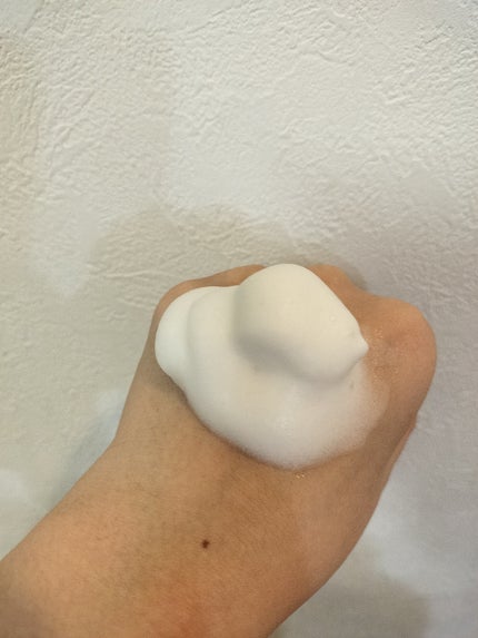 ホリーディア クリーミーリセットクレンジング/HOLIDEA/泡洗顔を使ったクチコミ(2枚目)