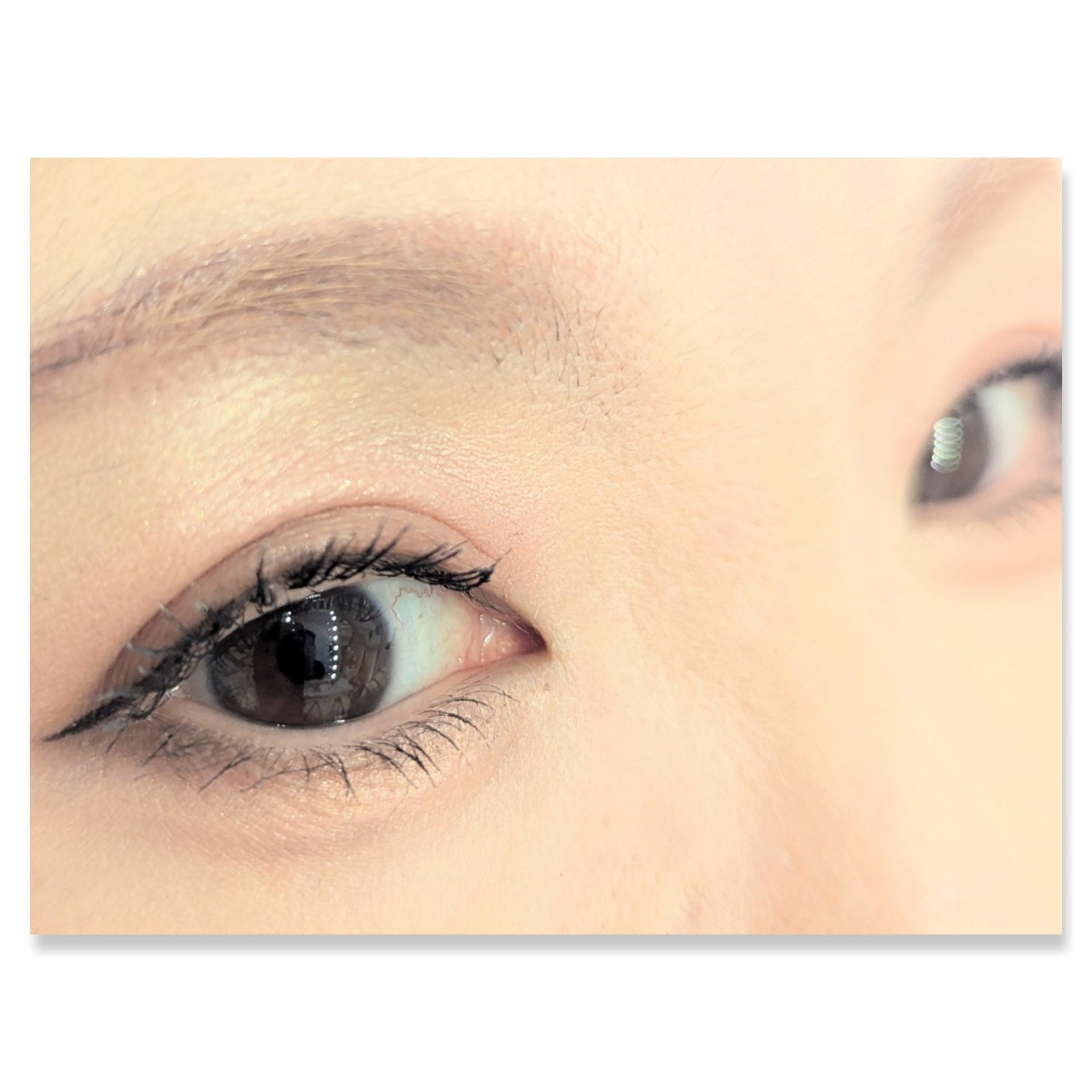 ニュアンス マット クリエイター/Visée/アイシャドウパレットを使ったクチコミ（2枚目）