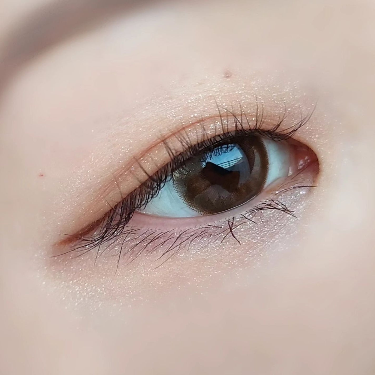 エテュセ アイエディション(カラーパレット)/ettusais/アイシャドウパレットを使ったクチコミ(9枚目)