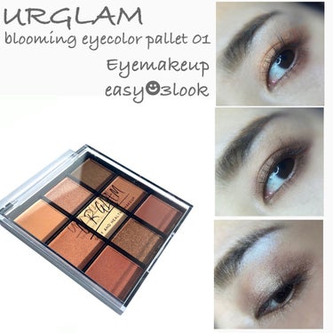 UR GLAM　BLOOMING EYE COLOR PALETTE/U R GLAM/アイシャドウパレットを使ったクチコミ（1枚目）