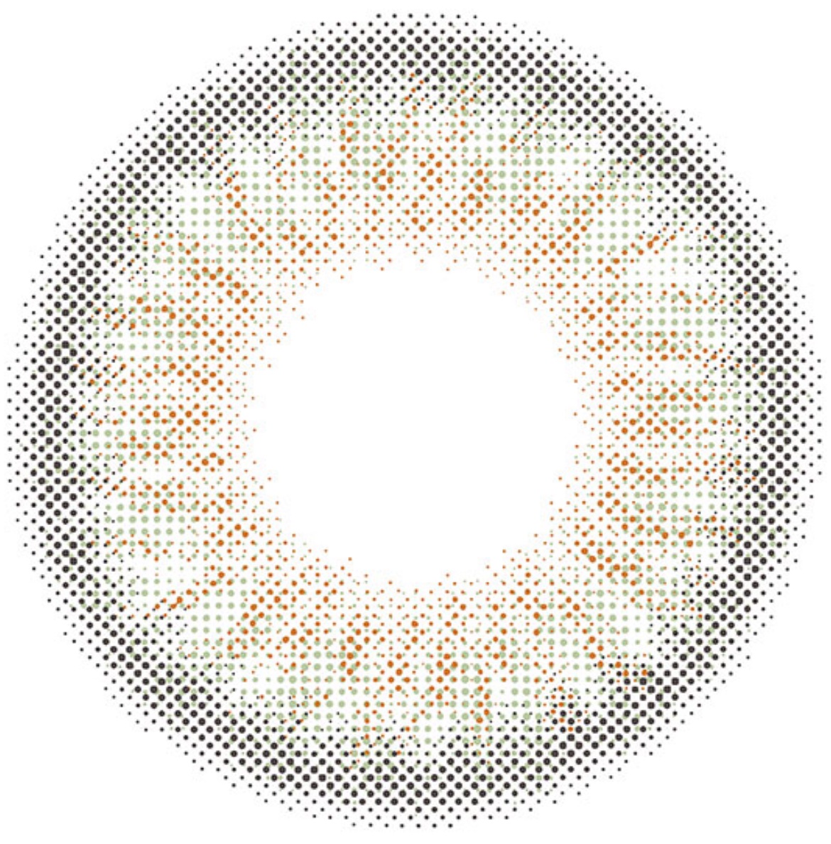 N’s COLLECTION 1day/N’s COLLECTION/ワンデー（１DAY）カラコンを使ったクチコミ（2枚目）