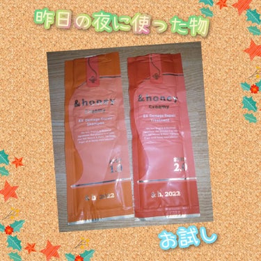 Creamy EXダメージリペアシャンプー1.0/ヘアトリートメント2.0 お試し（シャンプー10ml＋トリートメント10g）/&honey/シャンプー・コンディショナーを使ったクチコミ（1枚目）