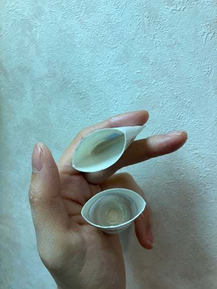 UVイデア XL プロテクショントーンアップ/ラ ロッシュ ポゼ/日焼け止めクリームを使ったクチコミ(2枚目)