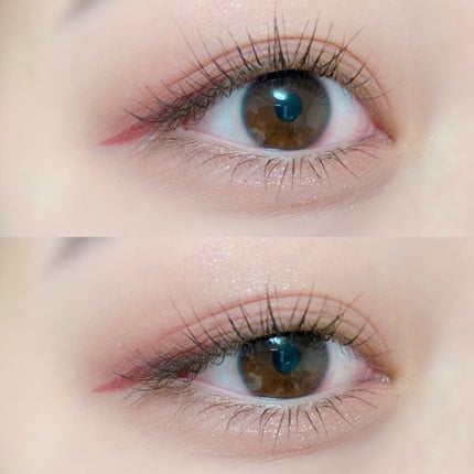 シャドウパレット/dasique/アイシャドウパレットを使ったクチコミ(6枚目)