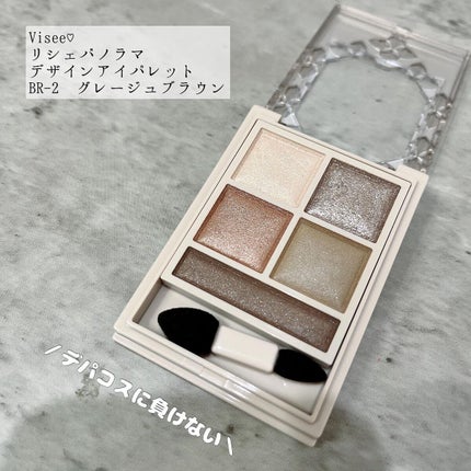 パノラマデザイン アイパレット/Visée/アイシャドウパレットを使ったクチコミ(1枚目)