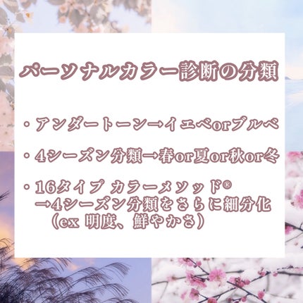 シェーディングパウダー/キャンメイク/シェーディングを使ったクチコミ(4枚目)