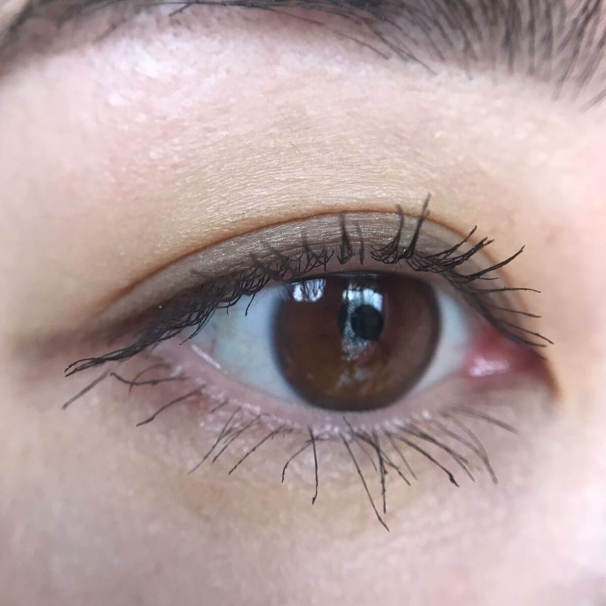 ヴァティック アイズ/Celvoke/単色アイシャドウを使ったクチコミ(3枚目)