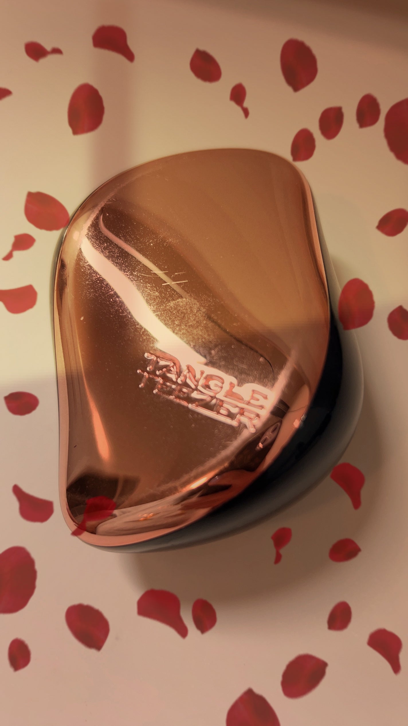 コンパクトスタイラー/TANGLE TEEZER/ヘアブラシを使ったクチコミ(1枚目)