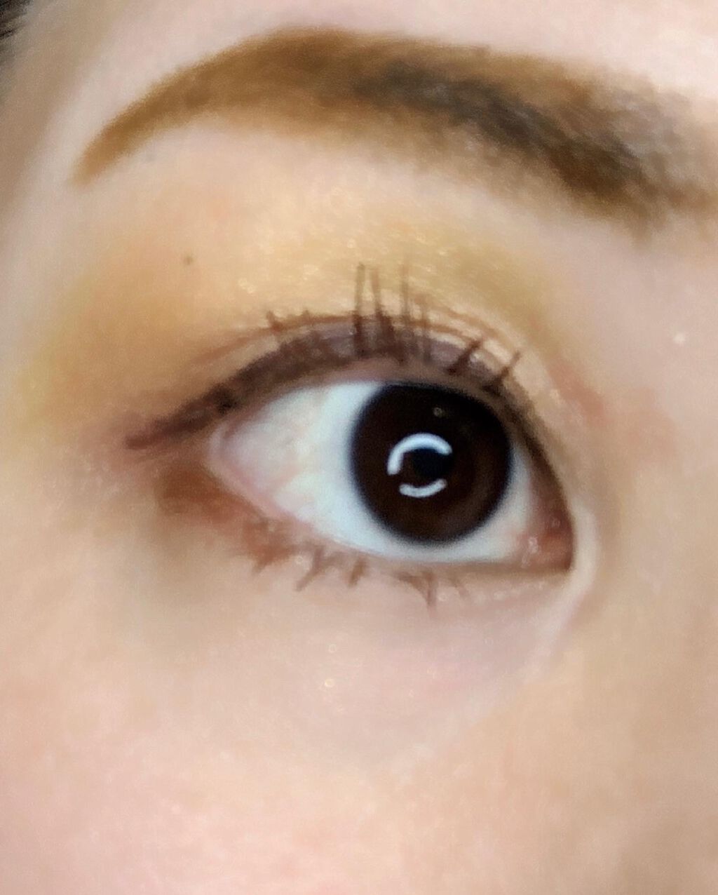 オールラッシュマスク ブラウンニュアンス コレクション/ラブ・ライナー/マスカラを使ったクチコミ（3枚目）