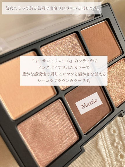 ブラーフィニシュシャドウパレット/Dinto/アイシャドウパレットを使ったクチコミ(6枚目)