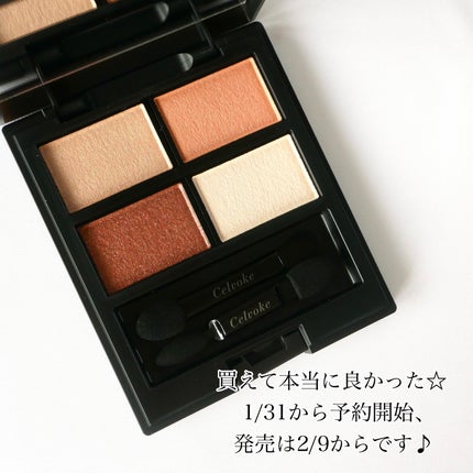 セルヴォーク ヴァティック アイパレット EX07 マイテラコッタ/Celvoke/アイシャドウパレットの画像