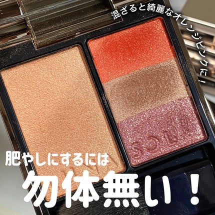 LUNASOL フュージングカラーパレットのクチコミ「LUNASOL
フュージングカラーパレット
EX02 Mellow Tempo
いつかの限定.....」(1枚目)