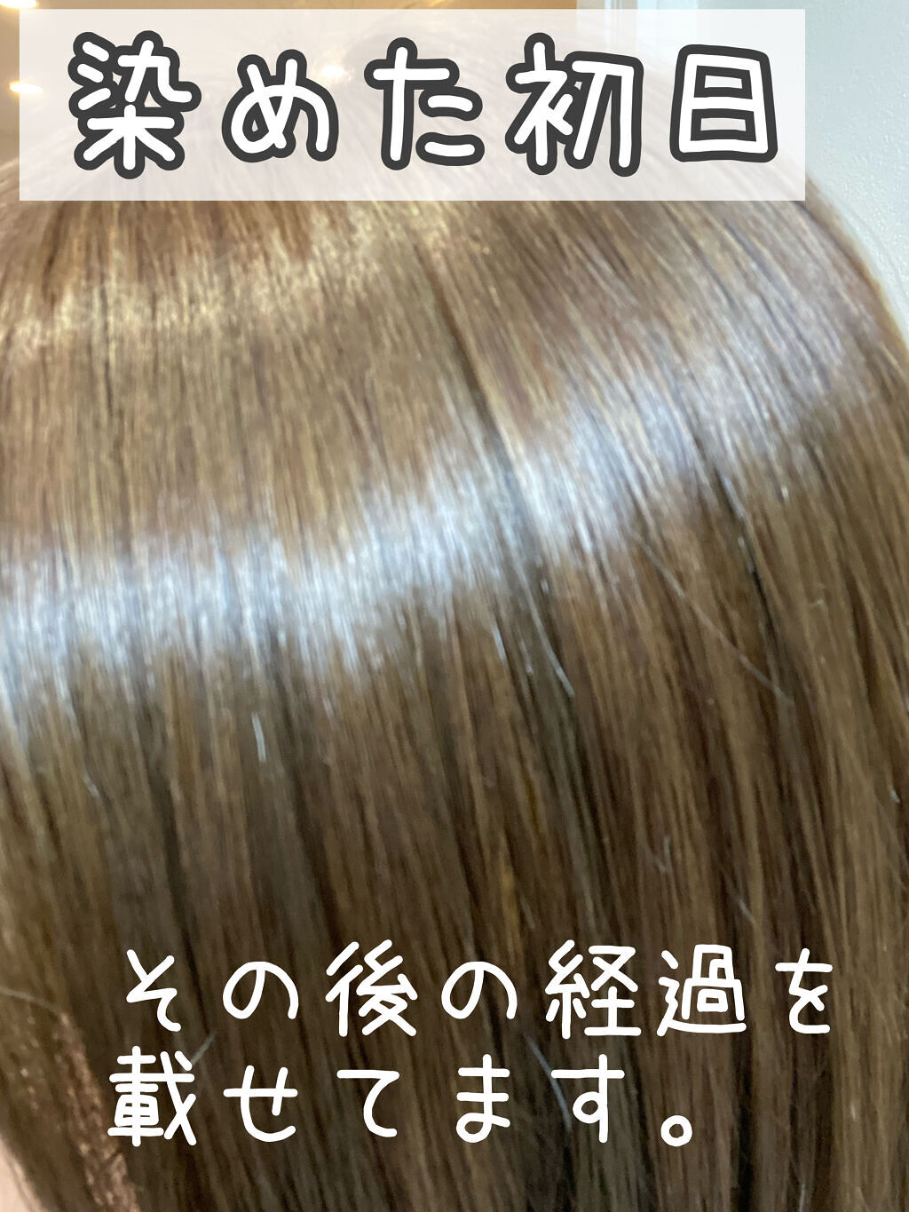 ホイップヘアカラー/ビューティラボ/ヘアカラーを使ったクチコミ（1枚目）