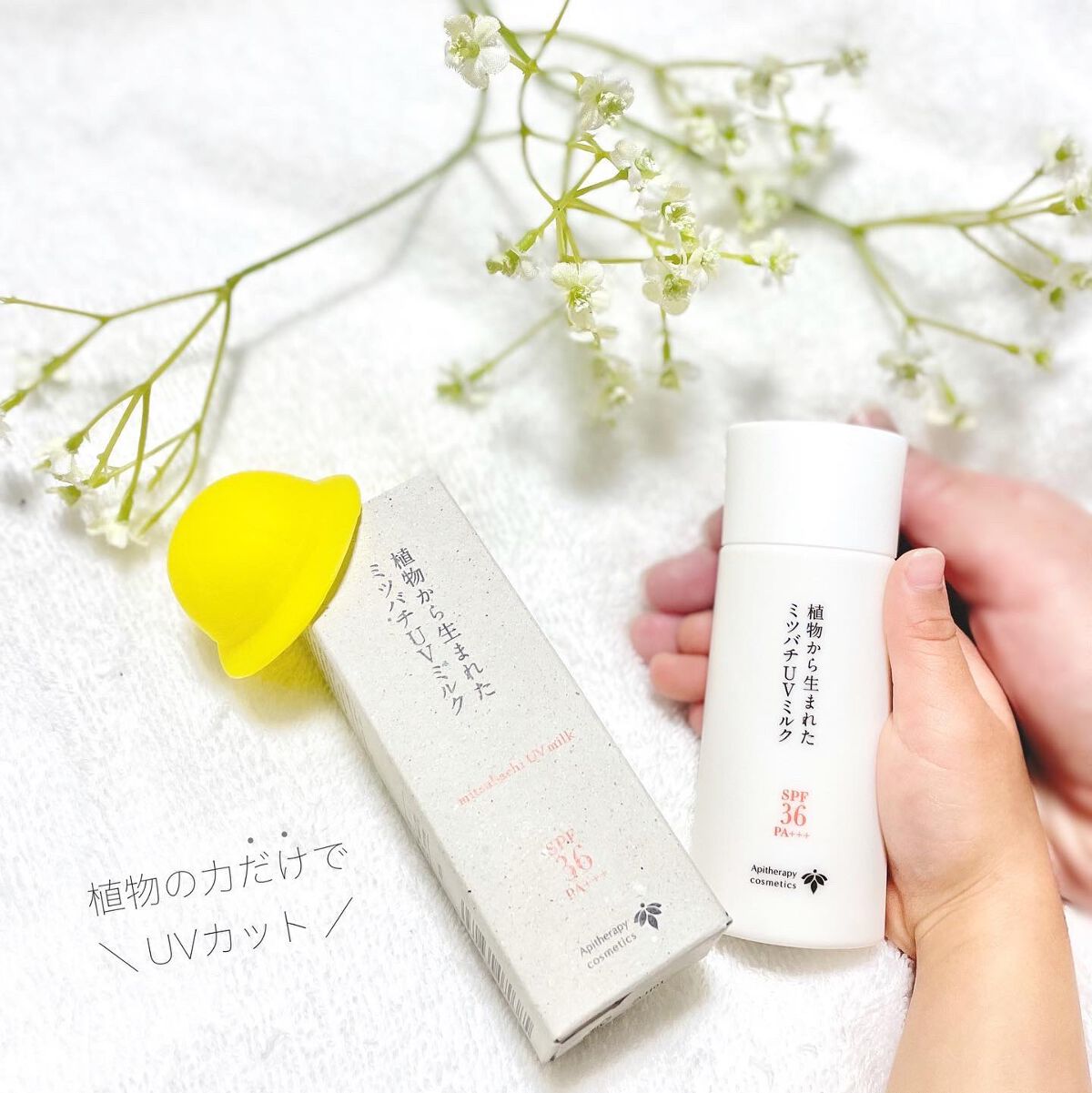 植物から生まれたミツバチUVミルク/アピセラピーコスメティクス/日焼け止めミルクを使ったクチコミ(1枚目)