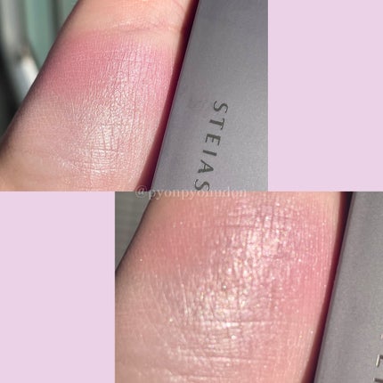 フィット my カラーパレット/STEIASUR(ステイアシュール)/マルチパレットを使ったクチコミ(5枚目)