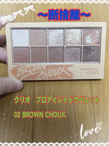 プロ アイ パレット 02 BROWN CHOUX/CLIO/パウダーアイシャドウの画像