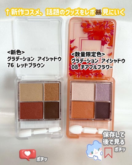 グラデーション アイシャドウ/ちふれ/アイシャドウパレットを使ったクチコミ(6枚目)