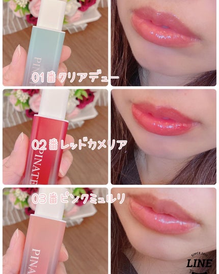 ナチュラルブルームリップオイルセラム 3色セット/PINATE/リップグロスを使ったクチコミ(6枚目)