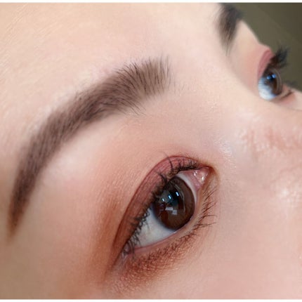 レ キャトル オンブル/CHANEL/アイシャドウパレットを使ったクチコミ(8枚目)