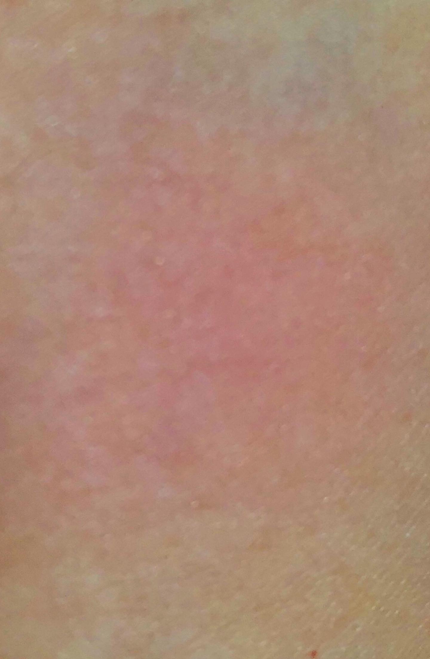 AMUSE ウサギ舌リップ＆チークキットのクチコミ「AMUSE
ウサギ舌エディション(ウサギ舌リップ＆チークキット)🐰💕

ティントもチークも若干.....」（2枚目）