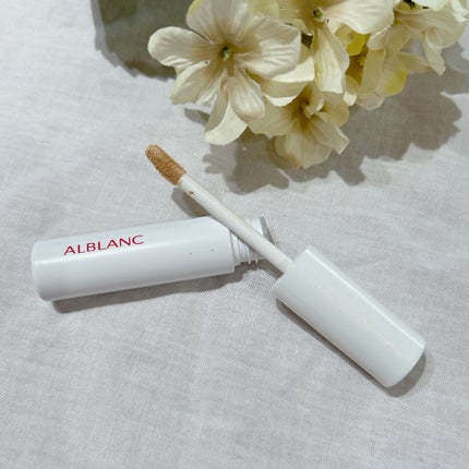 クラリティブラン サーフェイサー/ALBLANC/化粧下地を使ったクチコミ(2枚目)