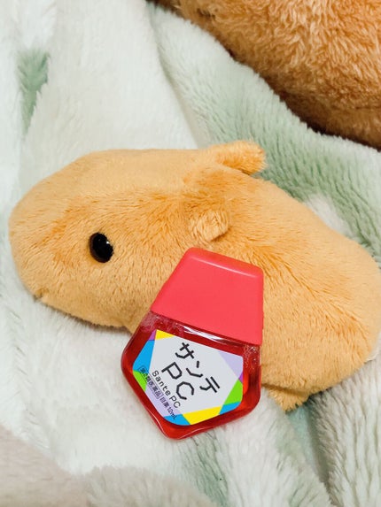 サンテPC(医薬品)/参天製薬/その他を使ったクチコミ(1枚目)