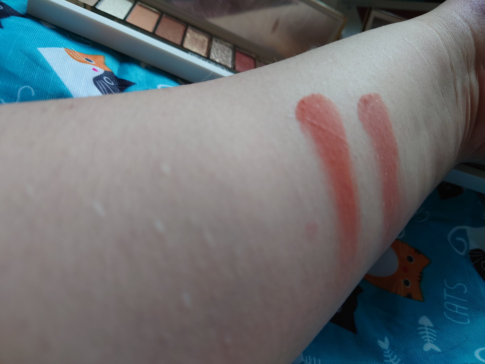 シングルカラーチーク/aZTK/パウダーチークを使ったクチコミ（2枚目）