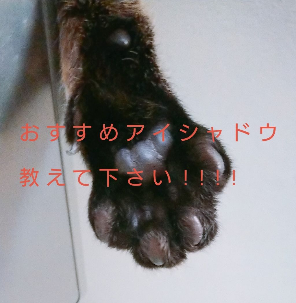 雀 on LIPS 「最近メイクを始めた超絶初心者です。新しくアイシャドウが欲しいの..」(1枚目)