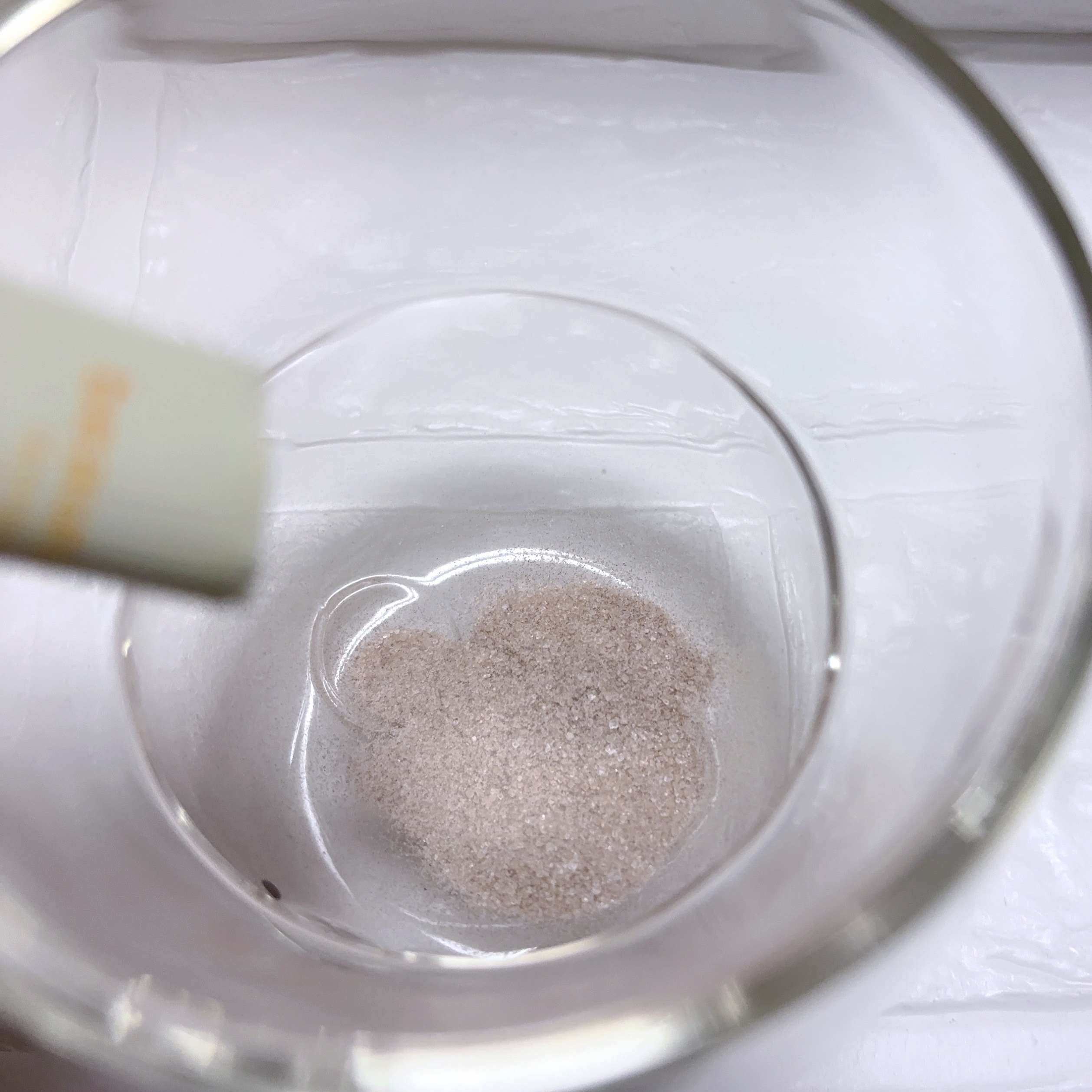 コンブチャ/ビューランチ/コンブチャを使ったクチコミ（2枚目）