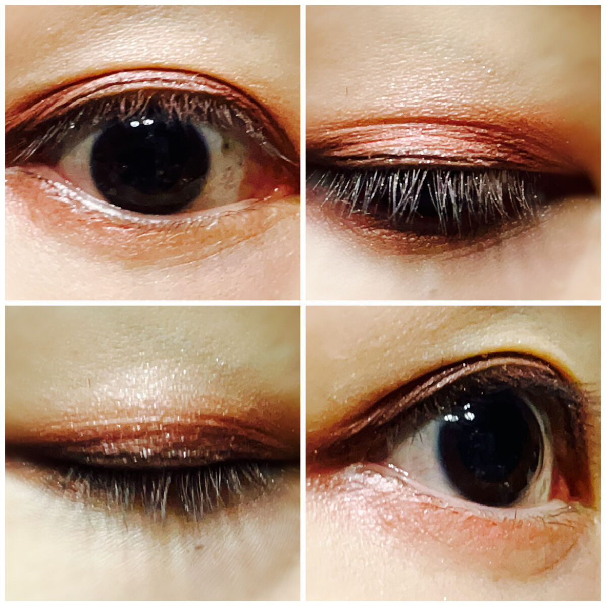 ショコラスウィート アイズ/リンメル ロンドン/アイシャドウパレットを使ったクチコミ（2枚目）