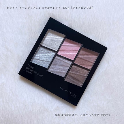 トーンディメンショナルパレット/KATE/メイクアップキットを使ったクチコミ(7枚目)