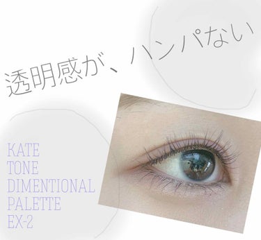 はい！
ハナともうします🍓

過去にした、お気に入りのメイクを今日は紹介します💄
KATE TONE DIMENTIONAL PALETTE EX-2を使ったアイメイクです！
これひとつで全顔メイクでき