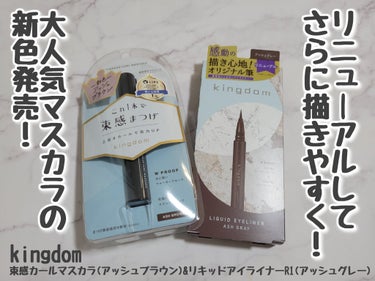 キングダム リキッドアイライナーR1/キングダム/リキッドアイライナーを使ったクチコミ（1枚目）