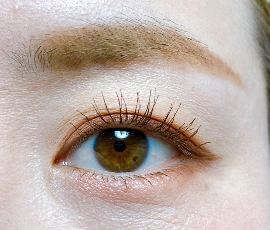 ロイヤルヴィンテージ アイズ/リンメル ロンドン/アイシャドウパレットを使ったクチコミ（2枚目）