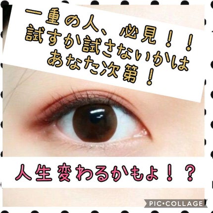 を使ったクチコミ(1枚目)