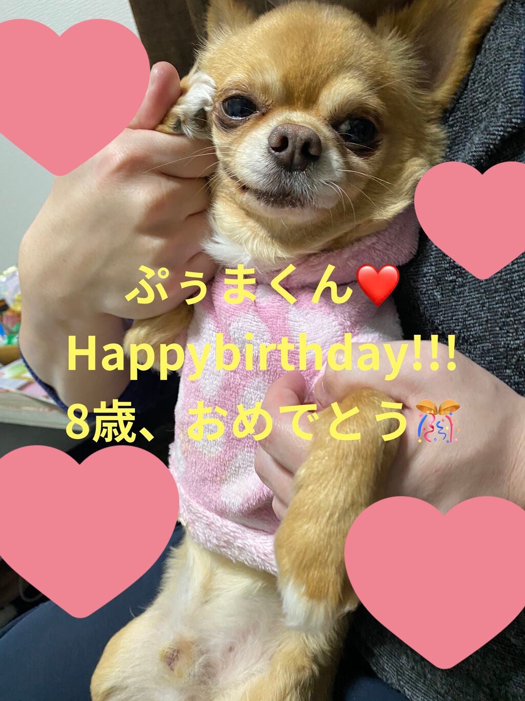 ぷぅぴぃ《紫コス部💜💗》 on LIPS 「おはようございますヽ(•̀ω•́)ゝ2021年1月25日ぷぅま..」(3枚目)