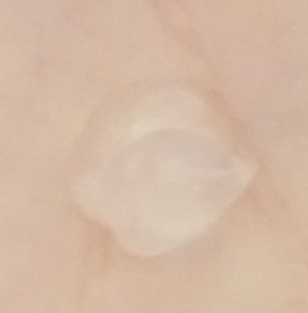 ポア スムース プライマー/コーセーコスメニエンス/化粧下地を使ったクチコミ（3枚目）