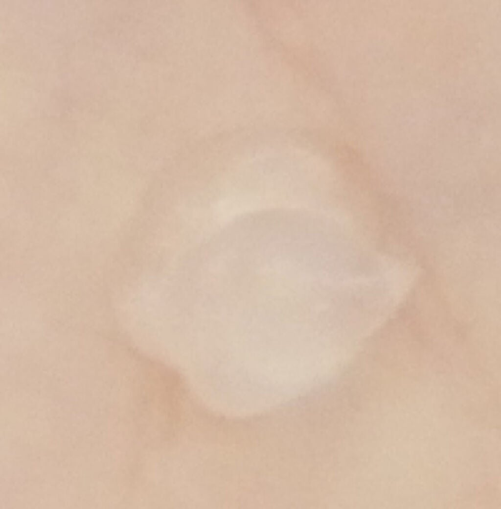 ポア スムース プライマー/コーセーコスメニエンス/化粧下地を使ったクチコミ(3枚目)